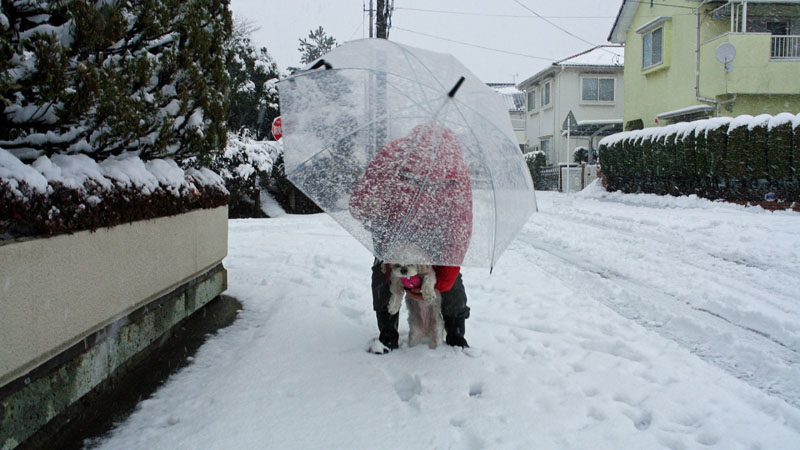 雪3