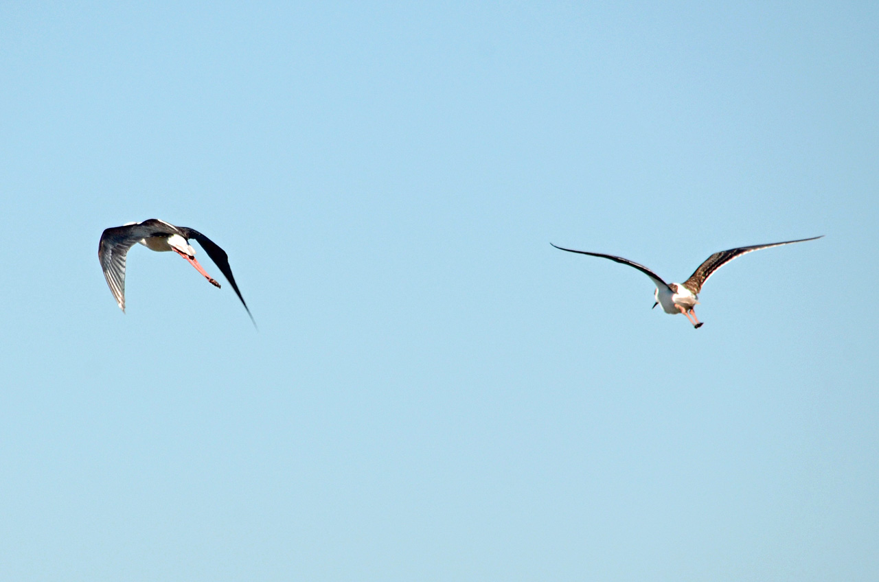 D70_6040.jpg