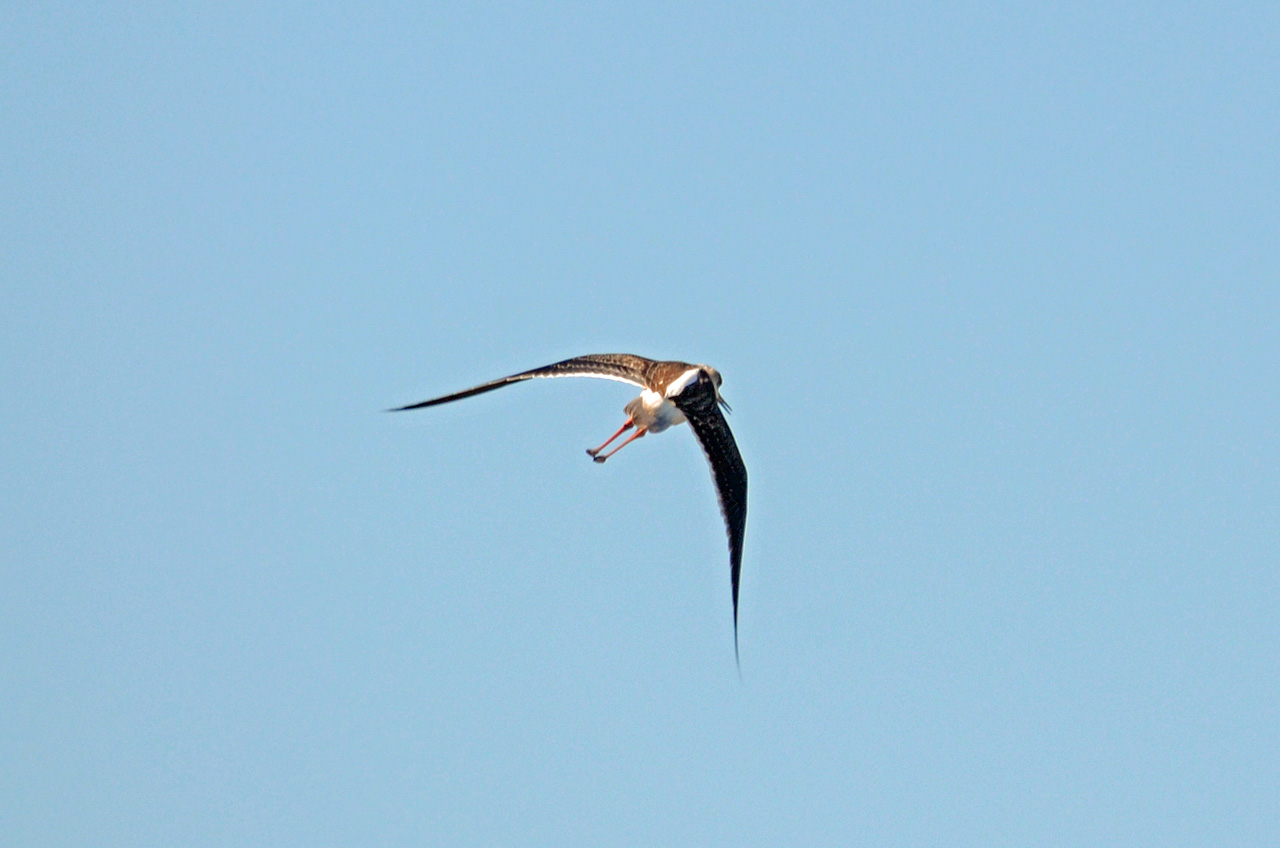 D70_6045.jpg