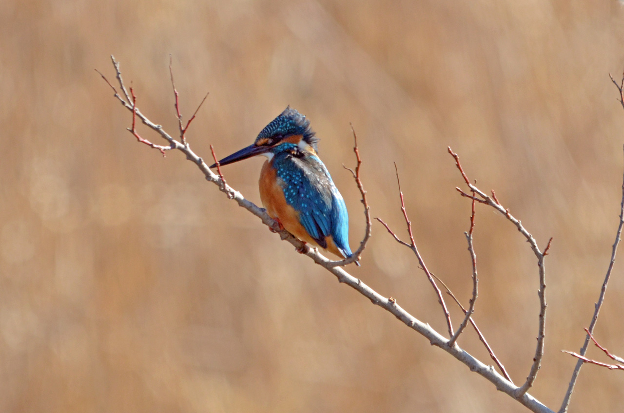 D70_6875.jpg