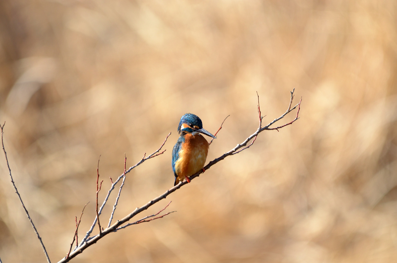 D70_6970.jpg