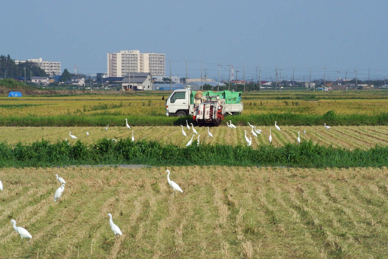 DSC_2776.jpg