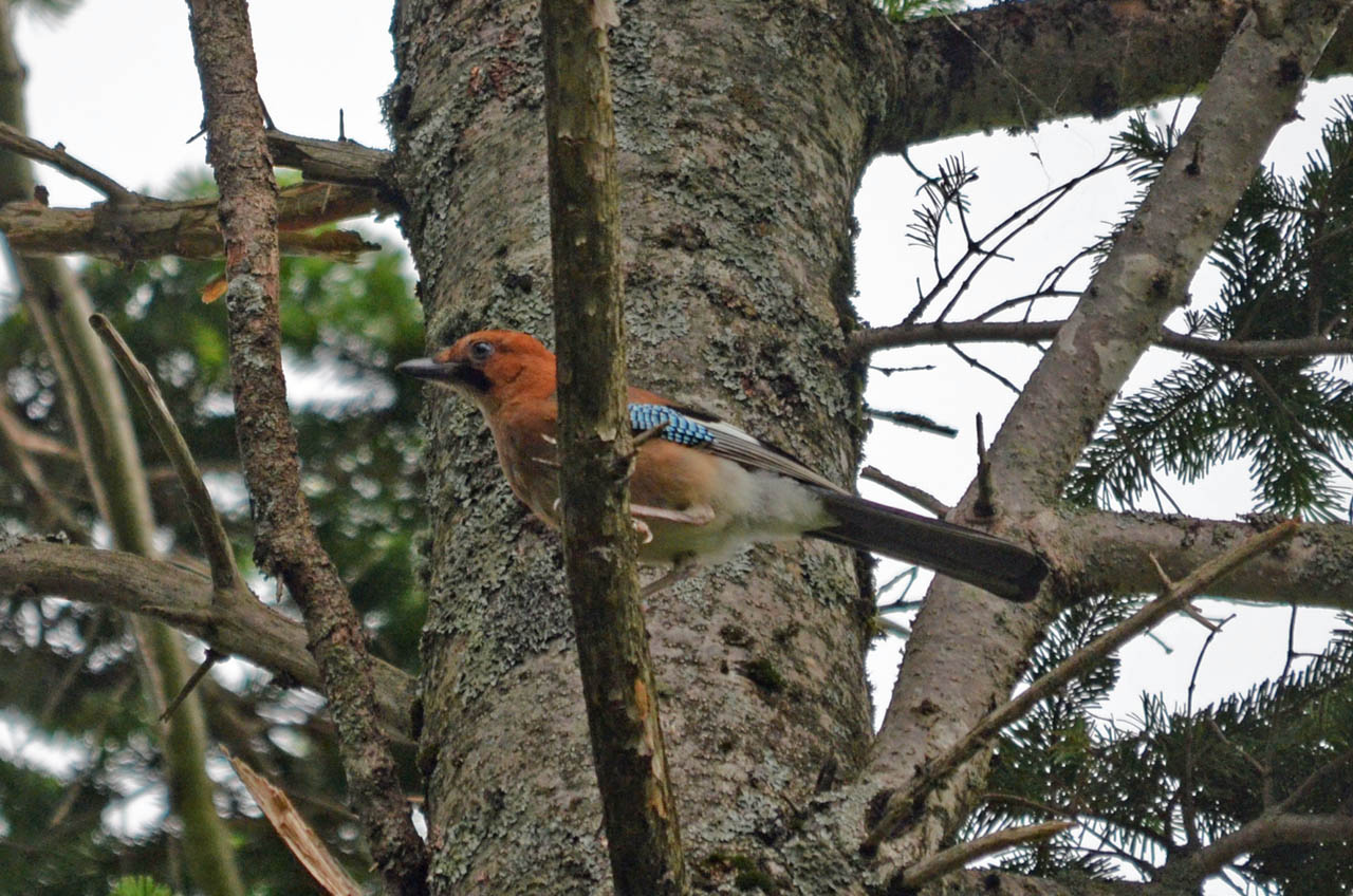 DSC_9368.jpg