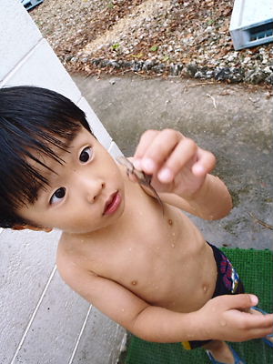 121101komatu6.jpg