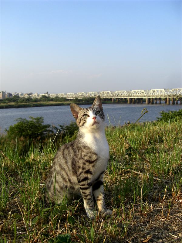 CIMG8579_R.jpg