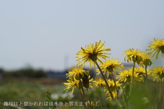 130409-4