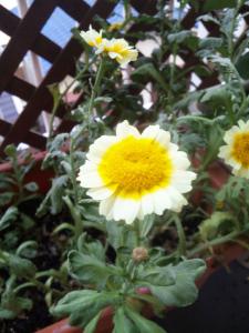 120503_180304.jpg