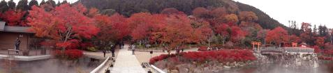 DSC02798.jpg