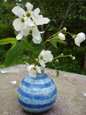 DSC01331 (300x400)