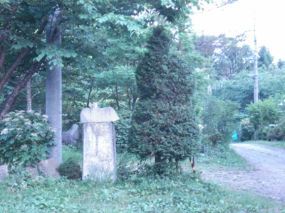 DSC01470 (400x300)