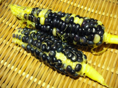DSC01835 (400x300)