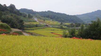 DSCF1081_org.jpg