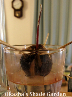 sCIMG3410.jpg