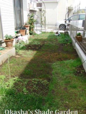 sCIMG3505.jpg