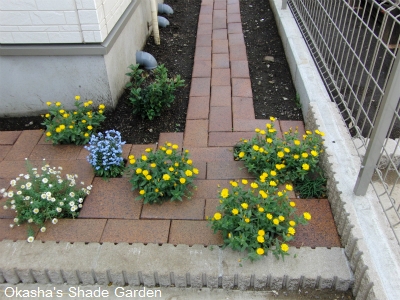 sCIMG3541.jpg