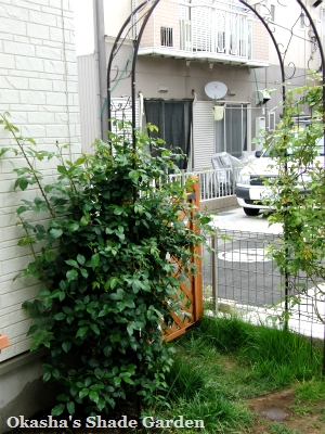 sCIMG3785.jpg