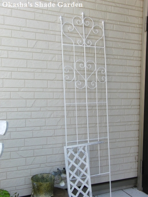 sCIMG3987.jpg