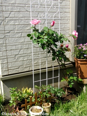 sCIMG3994.jpg