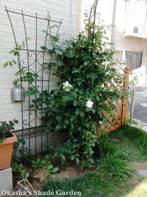 sCIMG3997.jpg