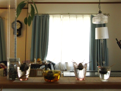 sCIMG4149.jpg