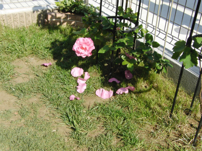 sCIMG4189.jpg