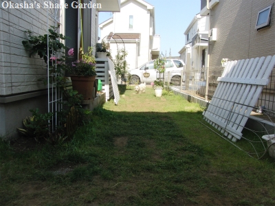 sCIMG4195.jpg