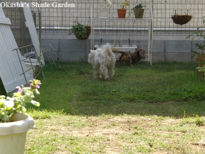 sCIMG4212.jpg
