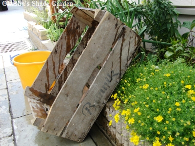 sCIMG4295.jpg