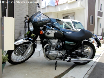 sCIMG4298.jpg