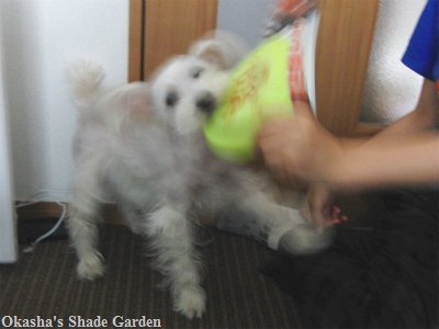 sCIMG4457.jpg