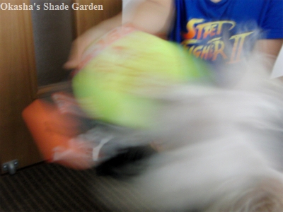 sCIMG4460.jpg