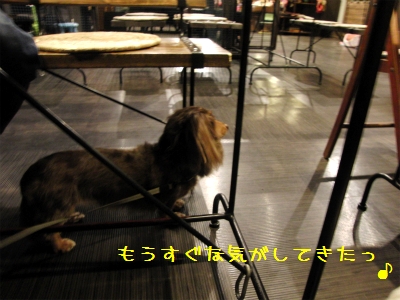 sCIMG4503.jpg