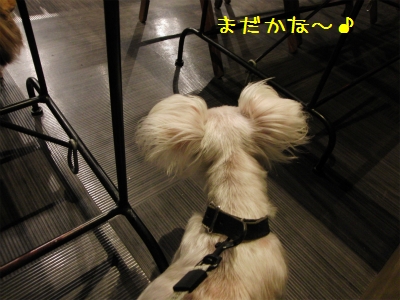 sCIMG4504.jpg