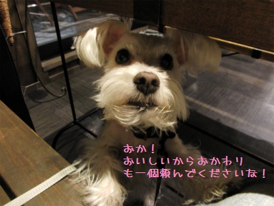 sCIMG4516.jpg