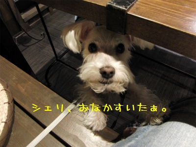 sCIMG4518.jpg