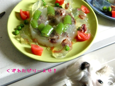 sCIMG4525.jpg