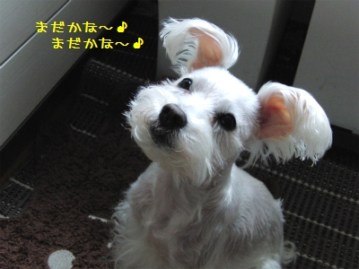 sCIMG4532.jpg