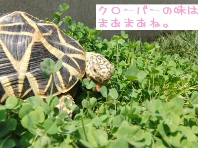 sCIMG4547.jpg