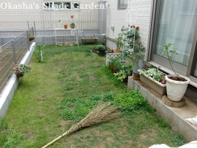 sCIMG4610.jpg