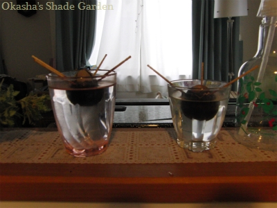 sCIMG4677.jpg