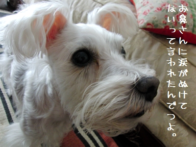 sCIMG4699.jpg