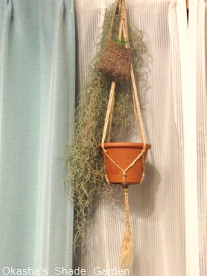 sCIMG4840.jpg