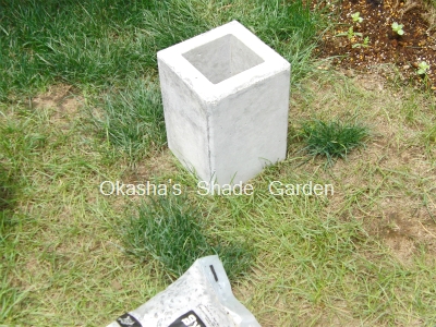 sCIMG4967.jpg