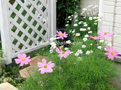 sCIMG4991.jpg