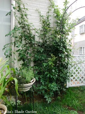 sCIMG5030.jpg