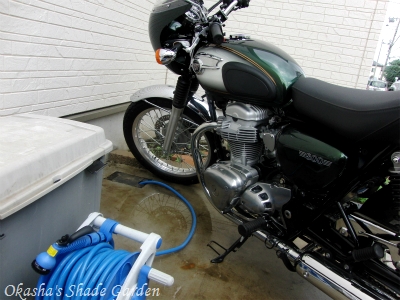 sCIMG5339.jpg