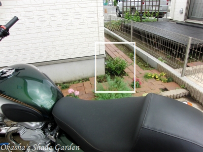 sCIMG5340.jpg