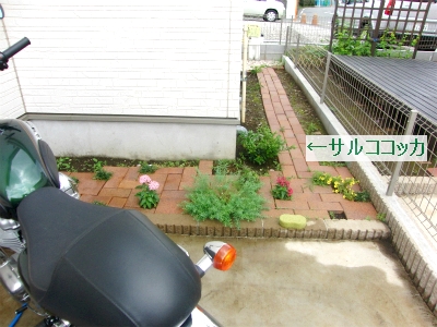 sCIMG5341.jpg