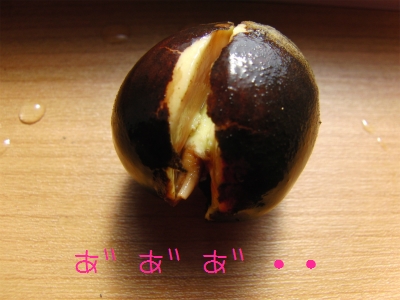 sCIMG5352.jpg