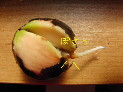 sCIMG5354.jpg